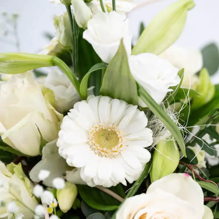 White Moments Detailansicht