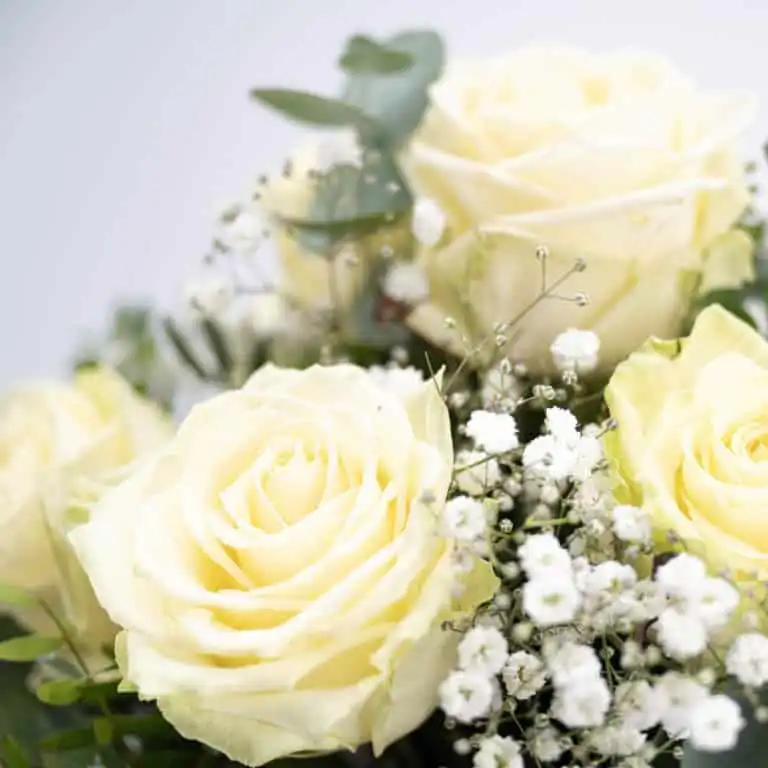 White & Magic Detailansicht