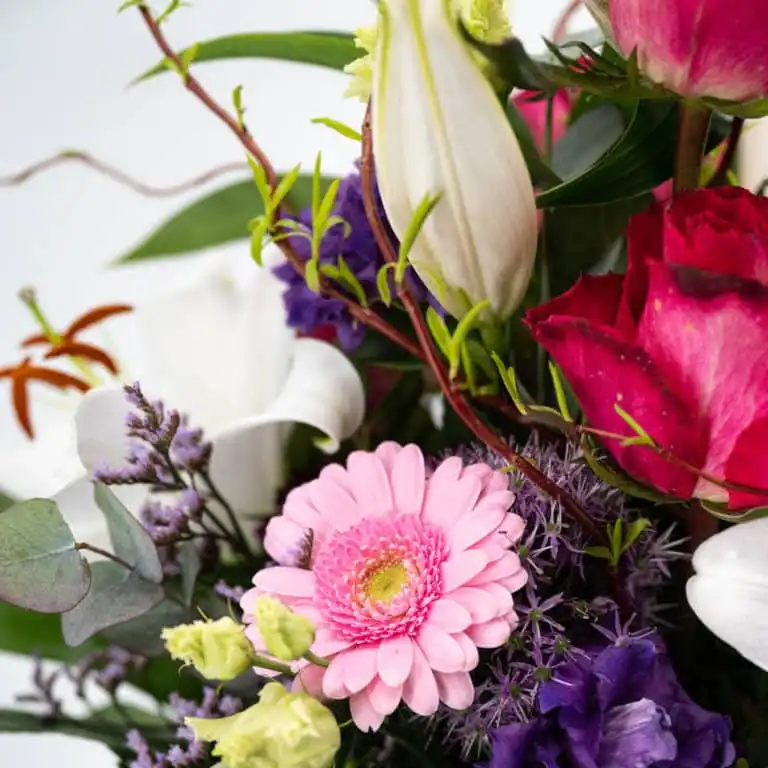 Wilde Romanze Detailansicht
