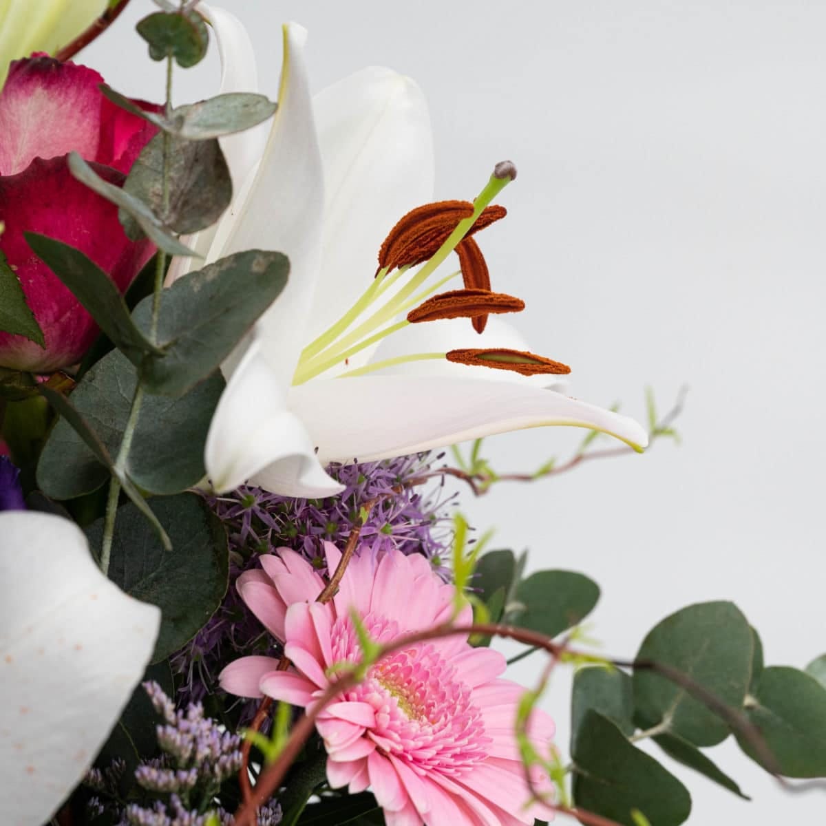 Wilde Romanze – Bild 3