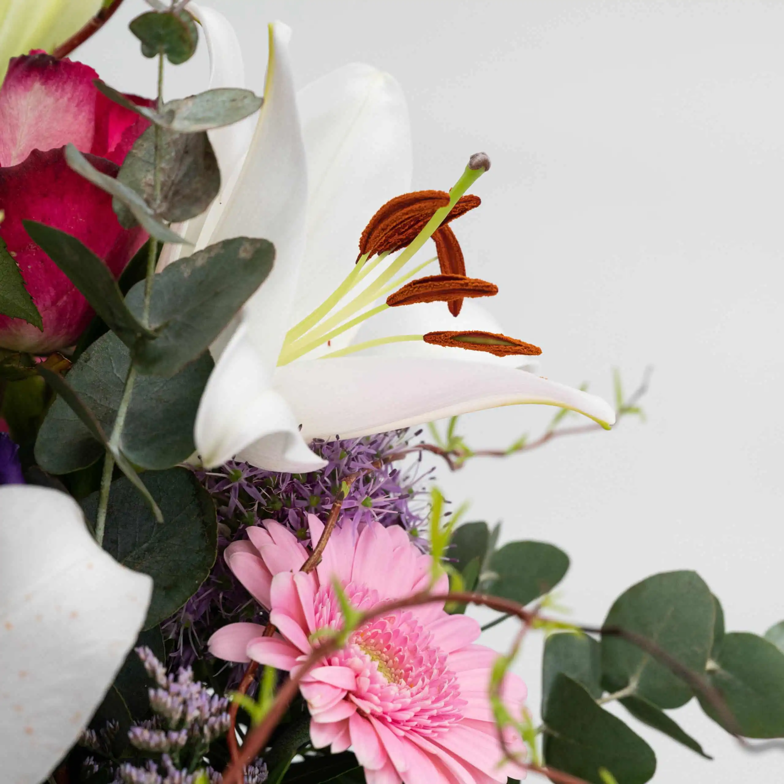 Wilde Romanze 3 Wilde Romanze – Bild 3