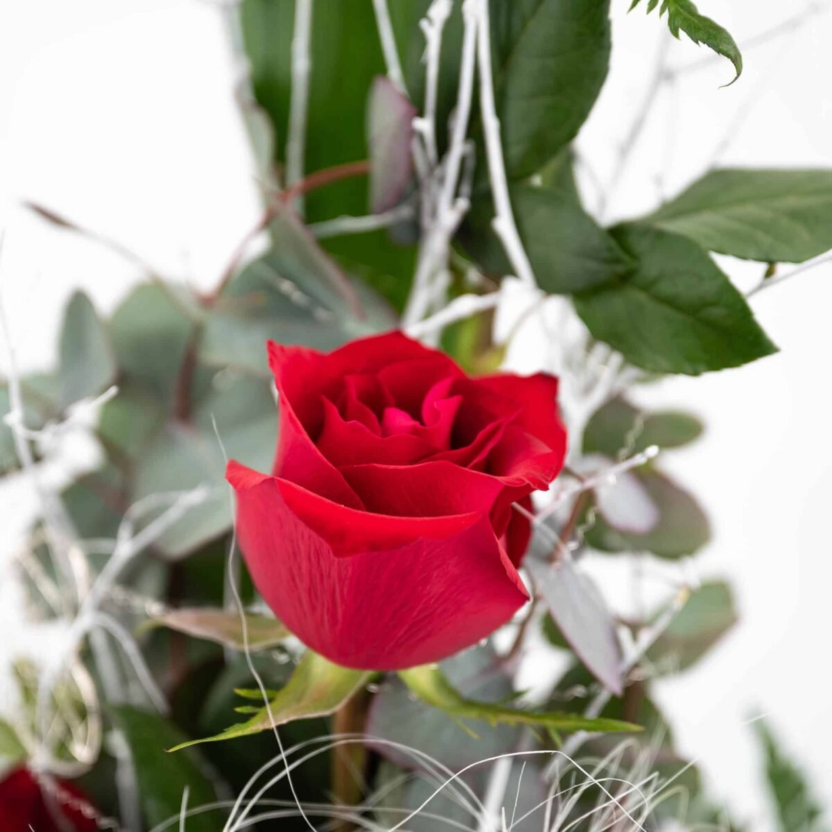 Hab Dich Lieb – Bild 3