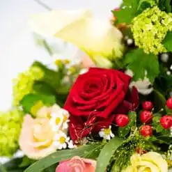 Alternative view of Herzmensch