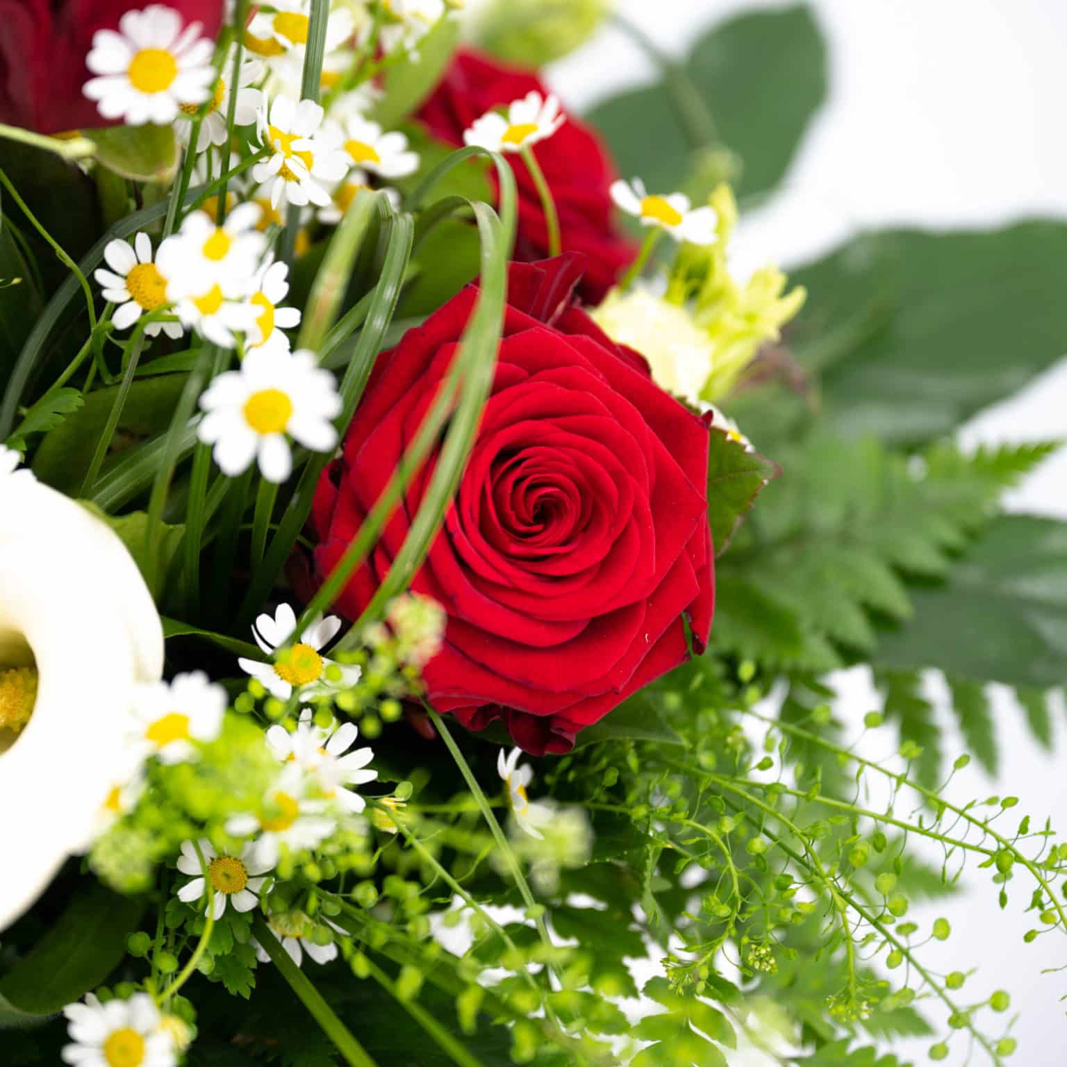 Ich mag Dich - Blumen Bruno Mankopf