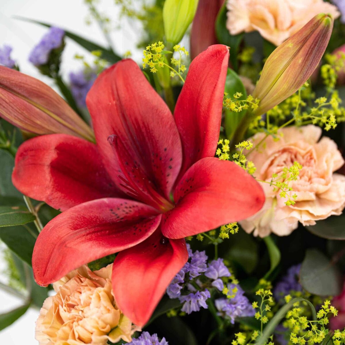 Lilientraum – Bild 2