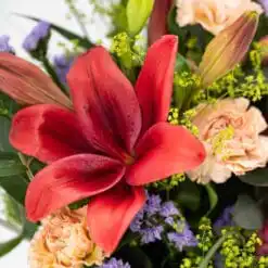 Alternative view of Lilientraum