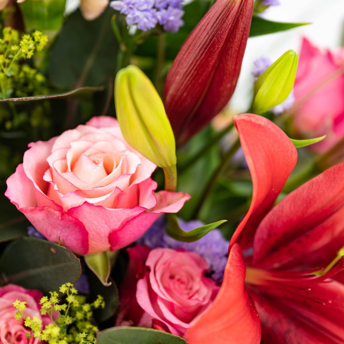 Lilientraum – Bild 3