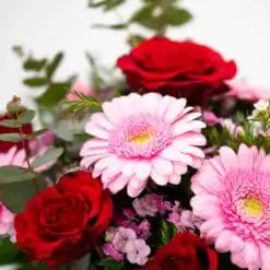 Alternative view of Merci cherie