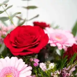 Merci cherie 6 Merci cherie 3