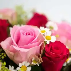 Alternative view of Rosentraum