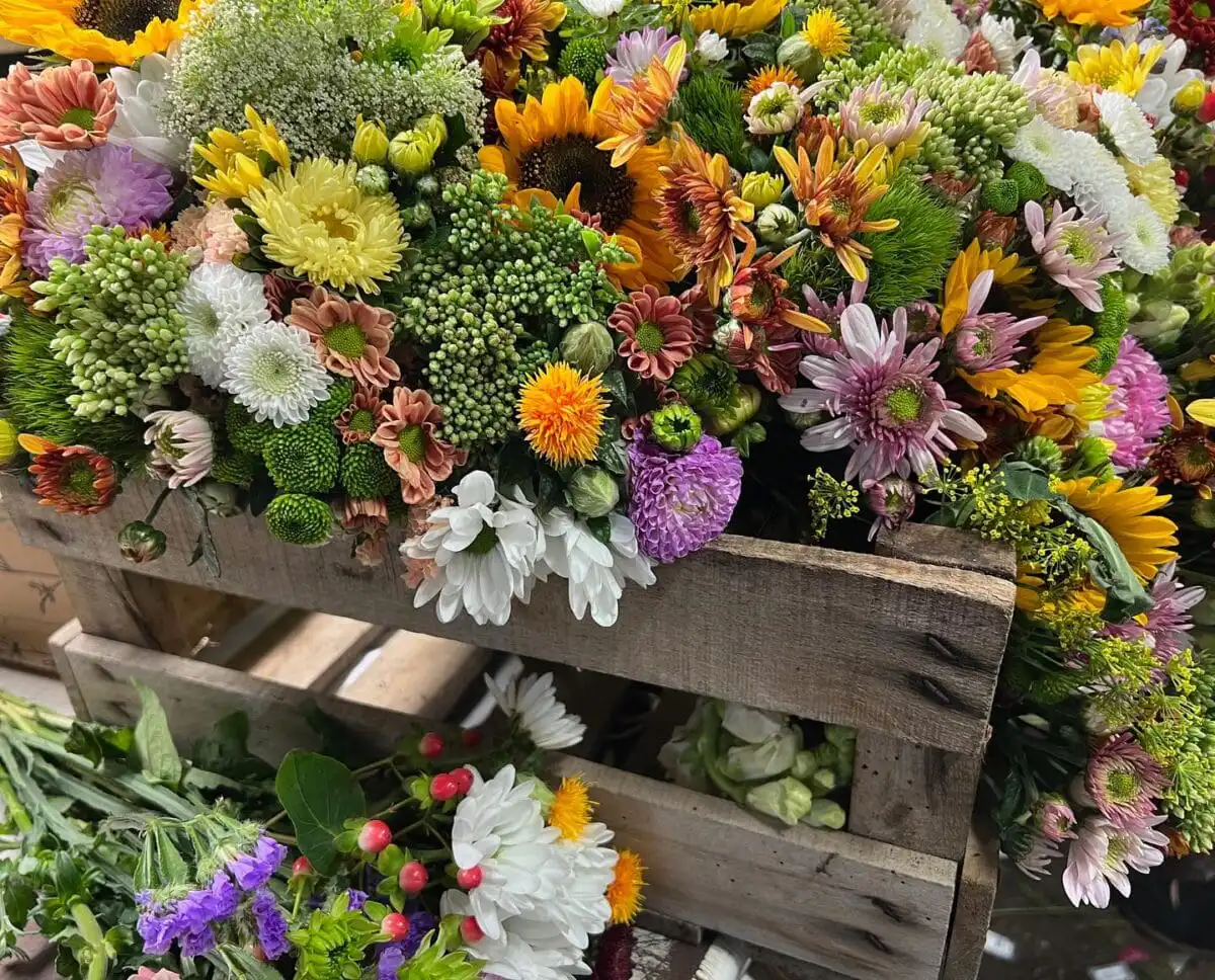 365228267 808496047745654 1621220664580288891 n