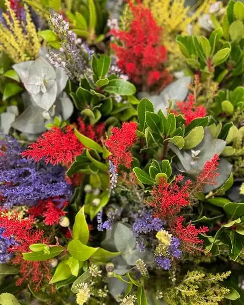 391609528 18231382453245913 93916432724700539 n