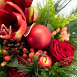 Alternative view of Freude im Advent