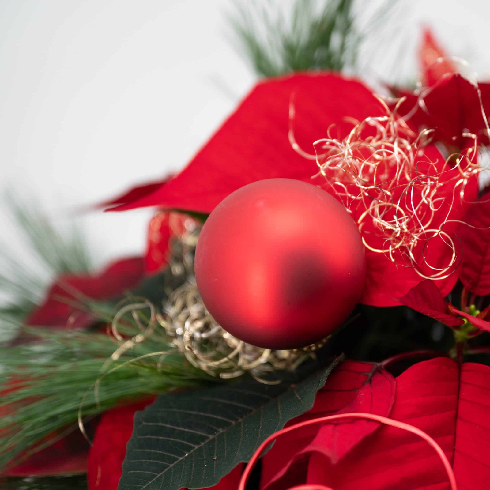 Sternenzauber – Bild 3