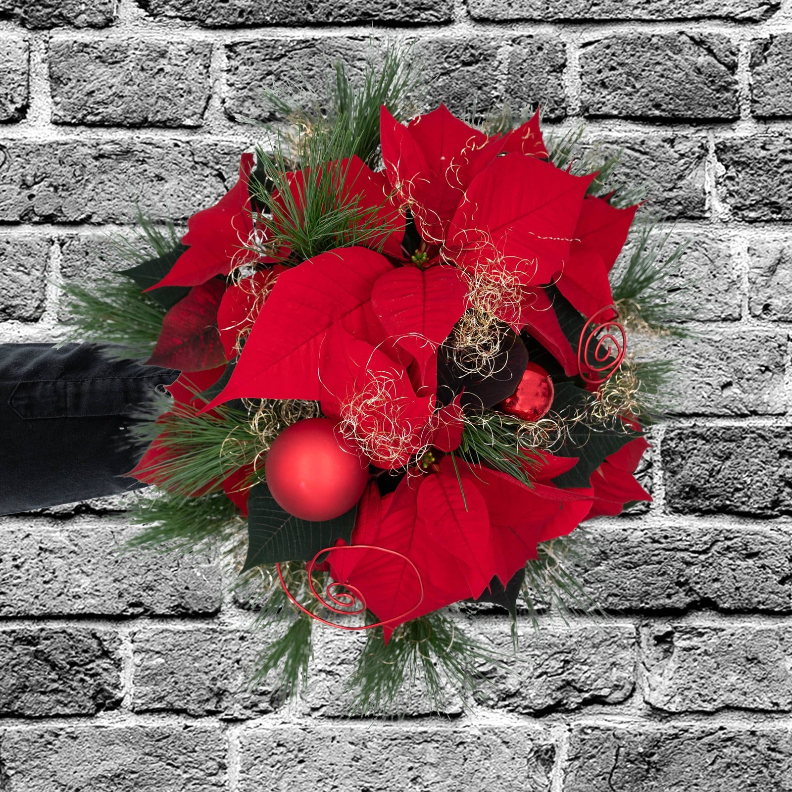 Sternenzauber – Bild 4