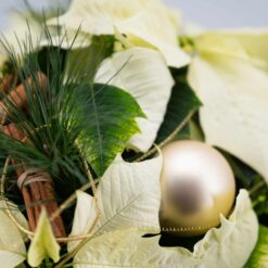 Alternative view of White Star