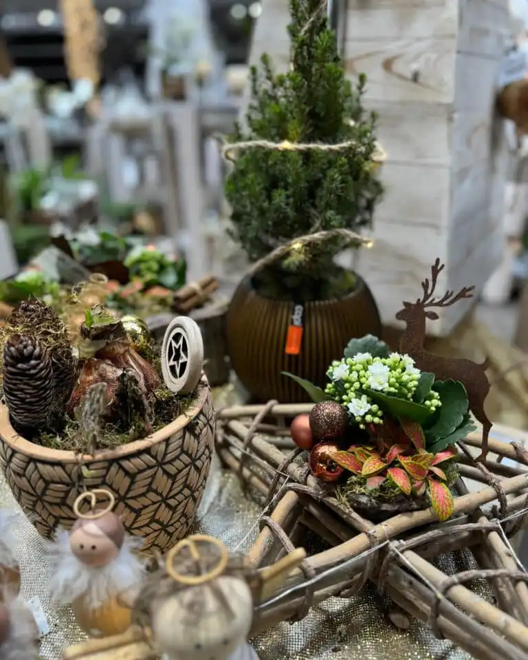 Da man Blumen ja frisch und im Fachgeschäft kauft … sind wir für Euch da !!!