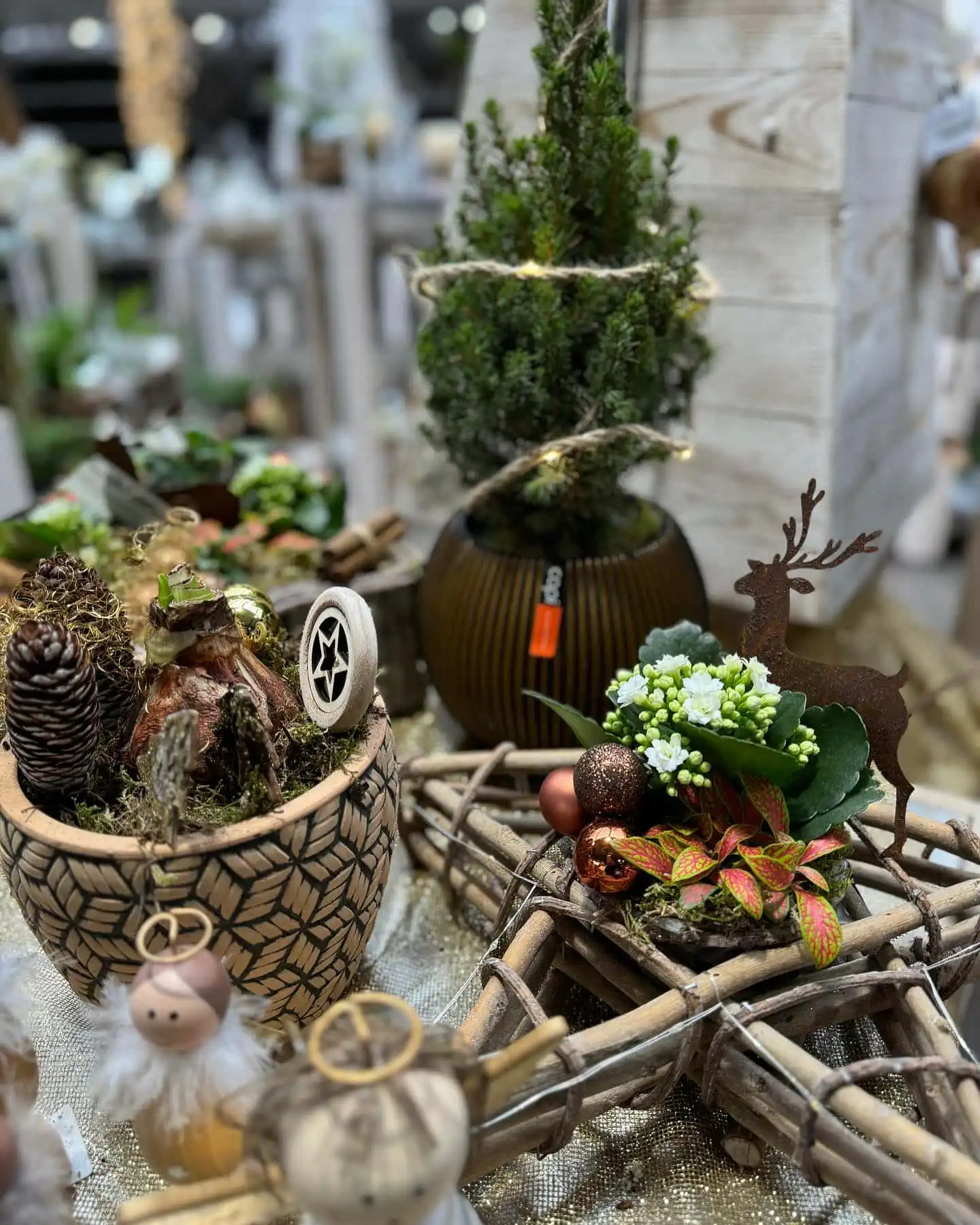 Da man Blumen ja frisch und im Fachgeschäft kauft … sind wir für Euch da !!! 15 412343516 18241277272245913 8004255041838388658 n