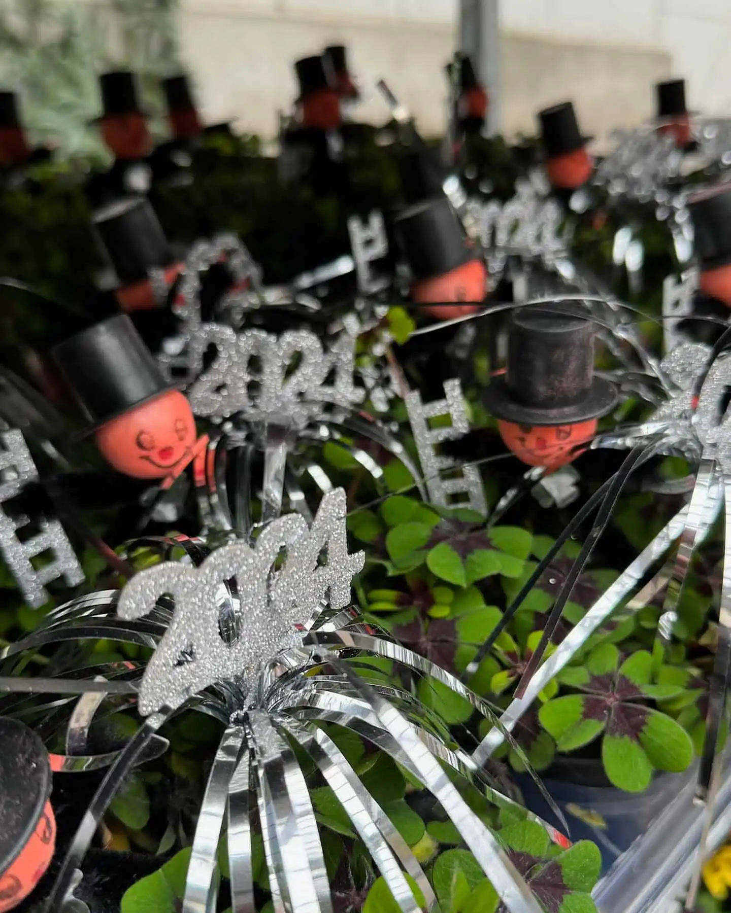 Glücksklee zu Silvester 7 415222978 18242309983245913 2585092621590337701 n 1