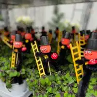 415228099 18242310007245913 6252035335784738841 n