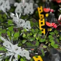 415234185 18242309974245913 7162107506593796566 n