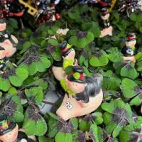 415286136 18242309992245913 1917247442599600517 n