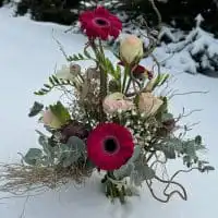 420509607 18245243005245913 8251712560746054473 n