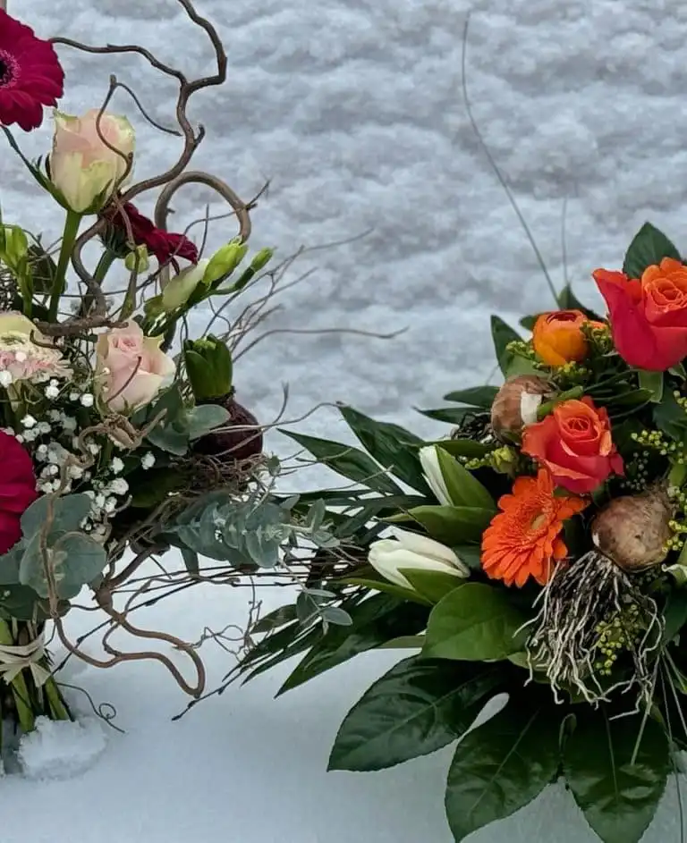 Frühling vs. Schnee