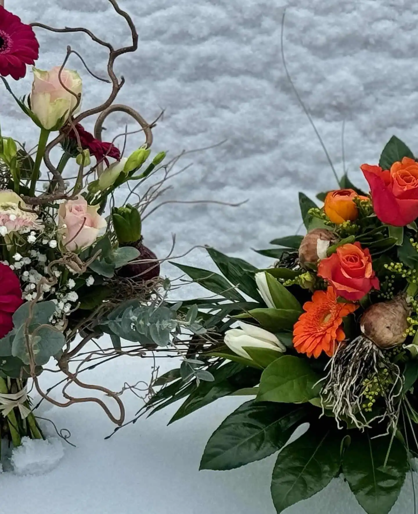 Frühling vs. Schnee 1 420552728 18245242996245913 2426348388268202433 n