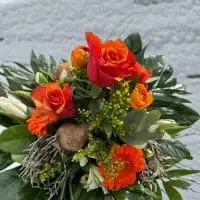 420878414 18245242987245913 6154455280144824578 n