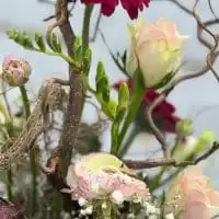 421003646 18245242978245913 6073648055730695669 n