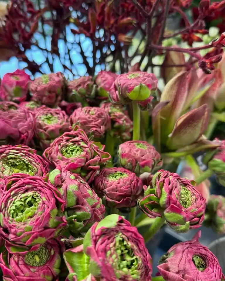 Der Frühling kann kommen…