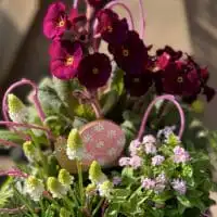 429640335 18250623049245913 2467966585260171183 n