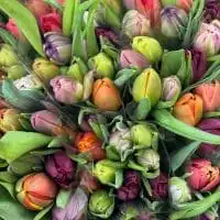 429684043 18250623010245913 7976834897181831465 n