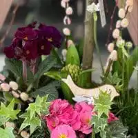 429758141 18250623031245913 2021583975405468757 n