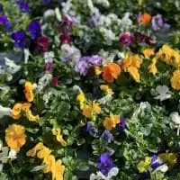 429769487 18250622980245913 3268784651036069010 n