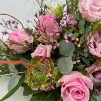 430040013 18250971073245913 7588483046137787340 n 1