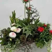 430055775 18250971100245913 1369959529306585612 n 1