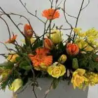 430062741 18250971091245913 3148838365766637715 n 1