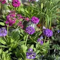 430063266 18250622971245913 1272365615671791933 n 1