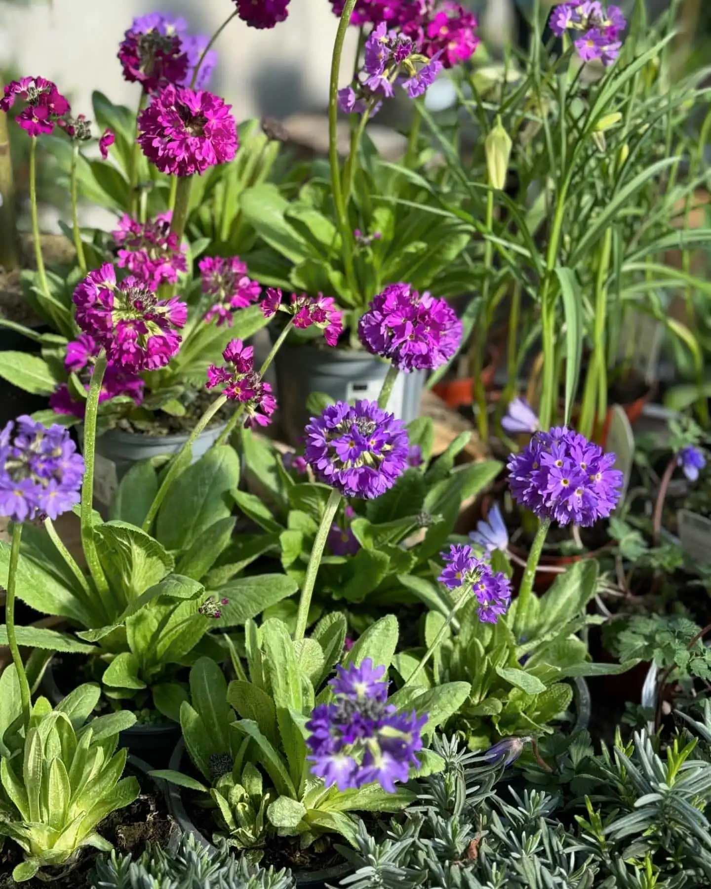 Wow… Was für Farben… 9 430063266 18250622971245913 1272365615671791933 n