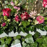 430063389 18250971109245913 2224180182431425661 n 1