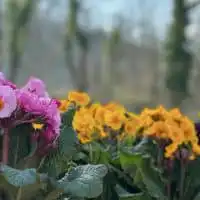 430103894 18250622989245913 2068106192148063334 n