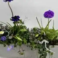 432340145 18250971082245913 855951843210309623 n 1