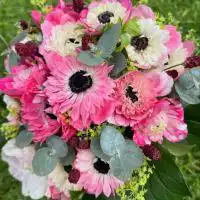 437919775 18255612181245913 2693816033686021335 n