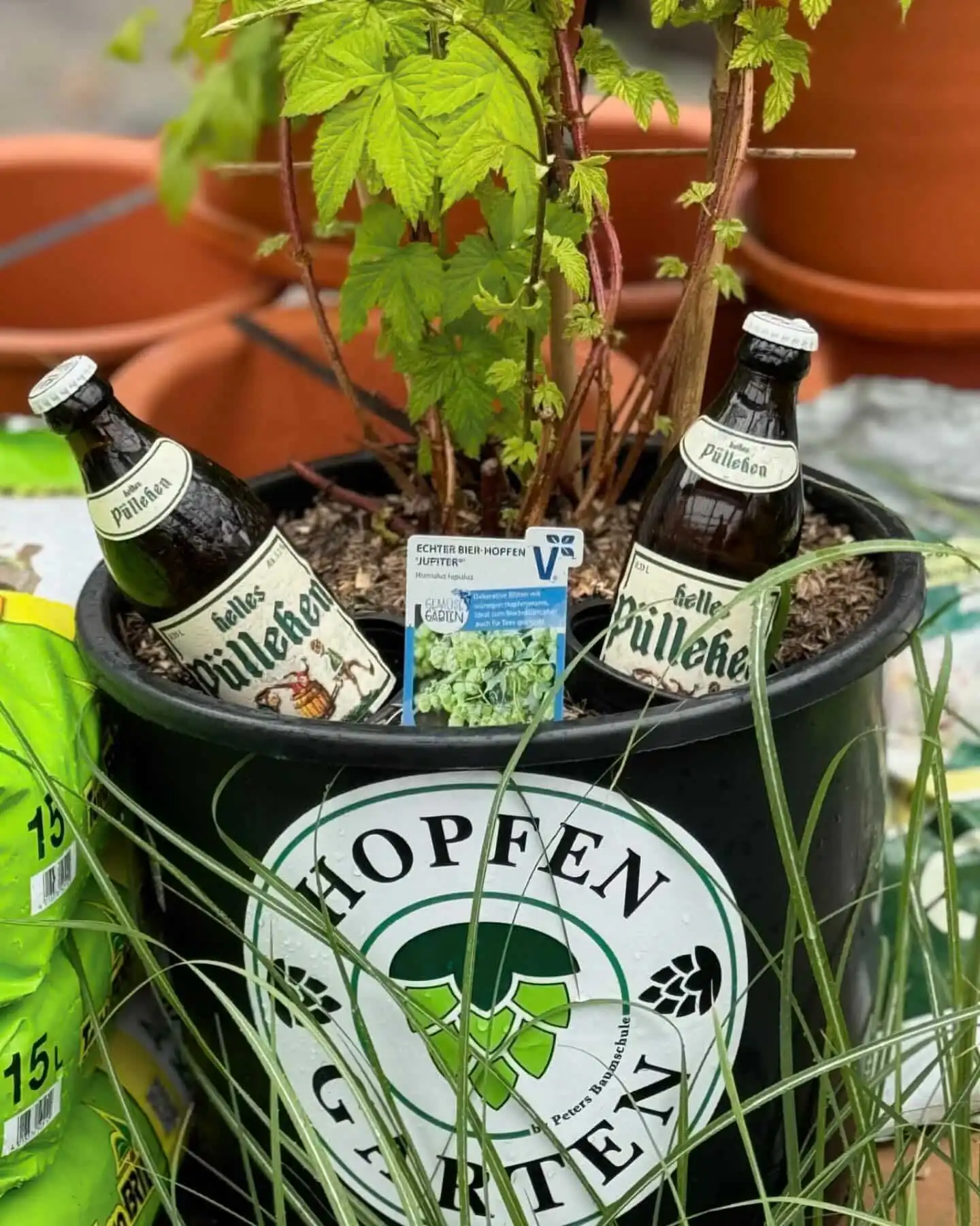 438701189 18256139353245913 228448798232657406 n