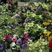 438840352 18256948078245913 1931671539086919902 n