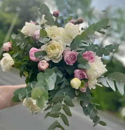 442442071 18259131433245913 5310897085276901848 n