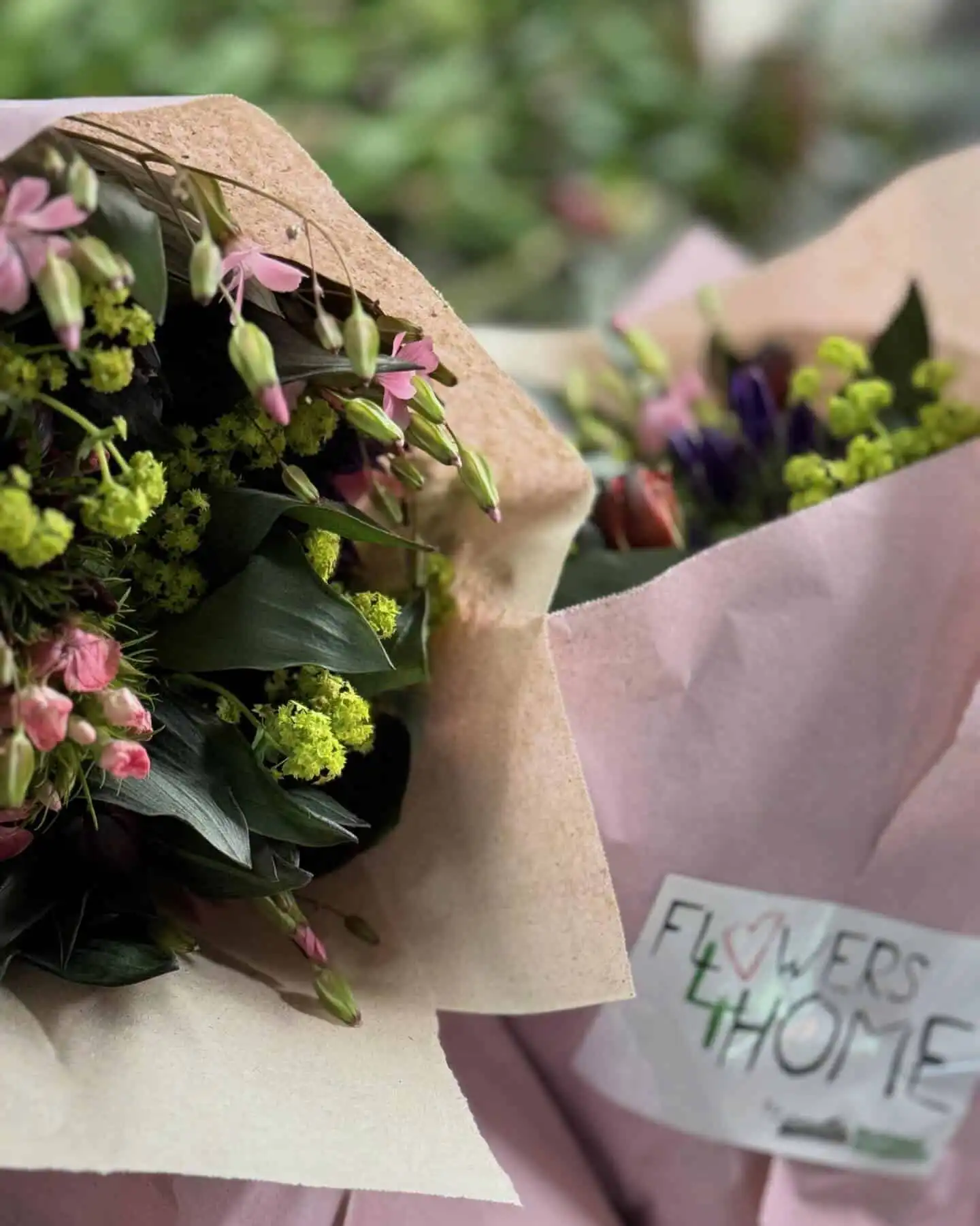 Sommerschnitt und Freilandrosen direkt vom Feld zu uns … 39 447190829 18260639230245913 6027083136388922694 n