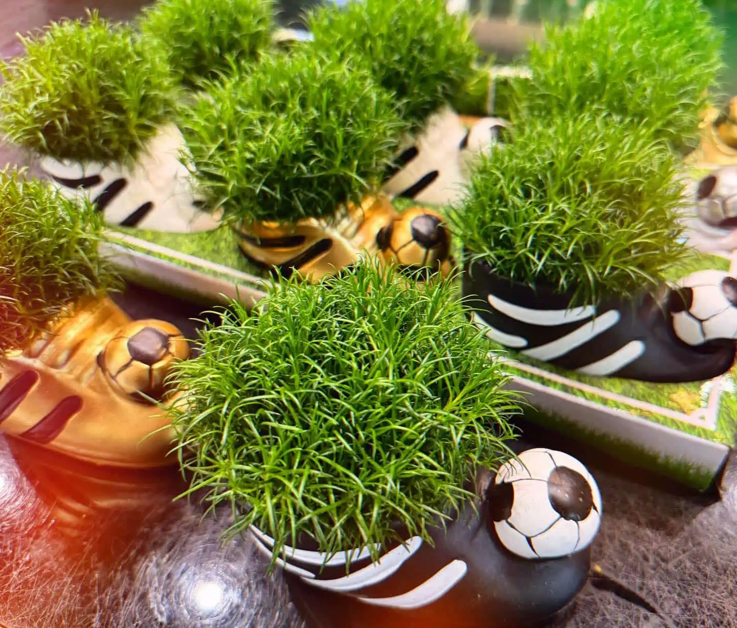 Football‘s coming home…. 24 448274880 18262367326245913 3603983210050877980 n